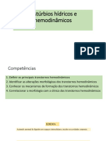 Aula Transtornos Hidricos e Hemodinâmicos 2020 PDF