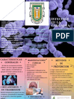 Folleto de 3 Caras Informativo para Evento Moderno Gradiente Multicolor PDF