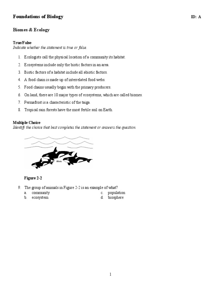 Kami Export - TEST - Ecology & Biome PDF | PDF | Food Web | Ecology
