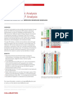 LithoFact XRF Analysis PDF