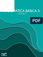 Informatica Basica 5 - Interne