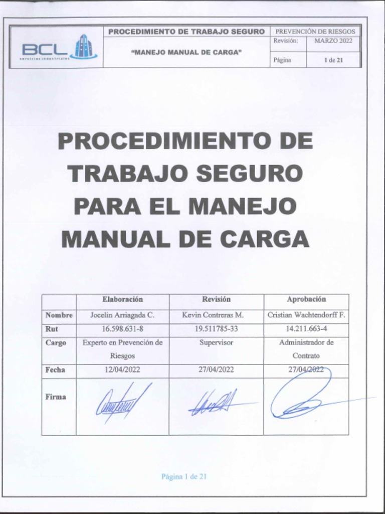 PTS Manejo Manual de Carga | PDF