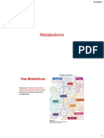 Aula Introducao Ao Metabolismo e Glicolise