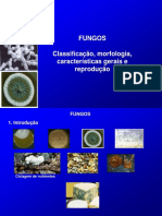 Classificação, características e reprodução dos fungos