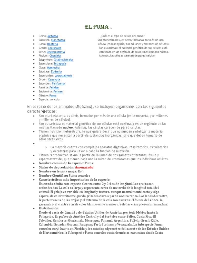 El Puma Pdf 230512 124928 Pdf Puma Pulmón