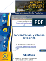 Concentracion y Dilucion de La Orina PDF