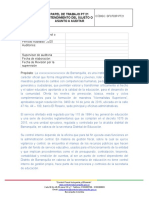 Formato - GFCF03P PT21 Entendimiento Del Sujeto o Asunto