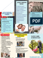 Copia de Prevención y Promoción de La Salud en La Adultez Tardía Grupo03