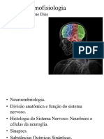 ANATOMOFISIOLOGIA - NEURO.pdf