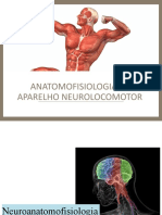 ANATOMOFISIOLOGIA - NEURO.pptx