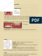 Anatomia Gastroentereológica PDF