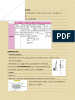 ONCOCERCÍASE.pdf