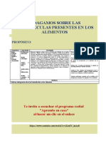 Indagamos Sobre Las Biomoléculas Presentes en Los Alimentos