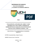 Documento Guía PDF