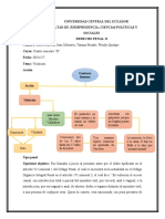 Trabajo 3 Violacion