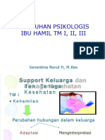 Kebutuhan Psikologis Ibu Hamil