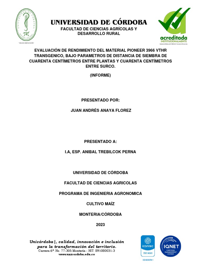 Évaluation du rendement du maïs transgénique | PDF