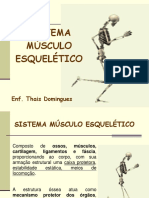 Aula2 - Sistema - Musculo - Esqueletico - e - Articulacoes (1) .PDF 33333333333 PDF