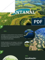 Pantanal