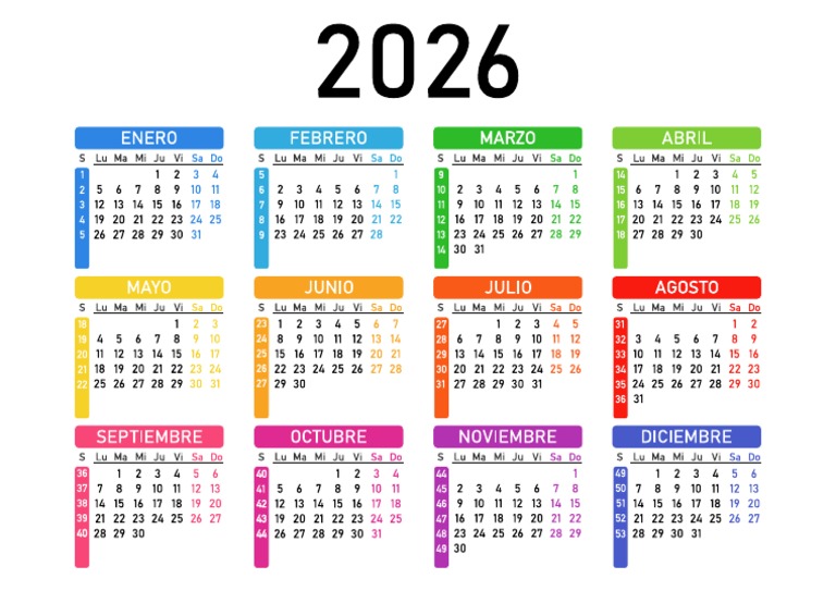 Calendario 2026 Vector PDF PDF