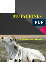 MUTACIONES Raras