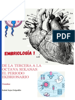 De La Tercera A La Octava Semana