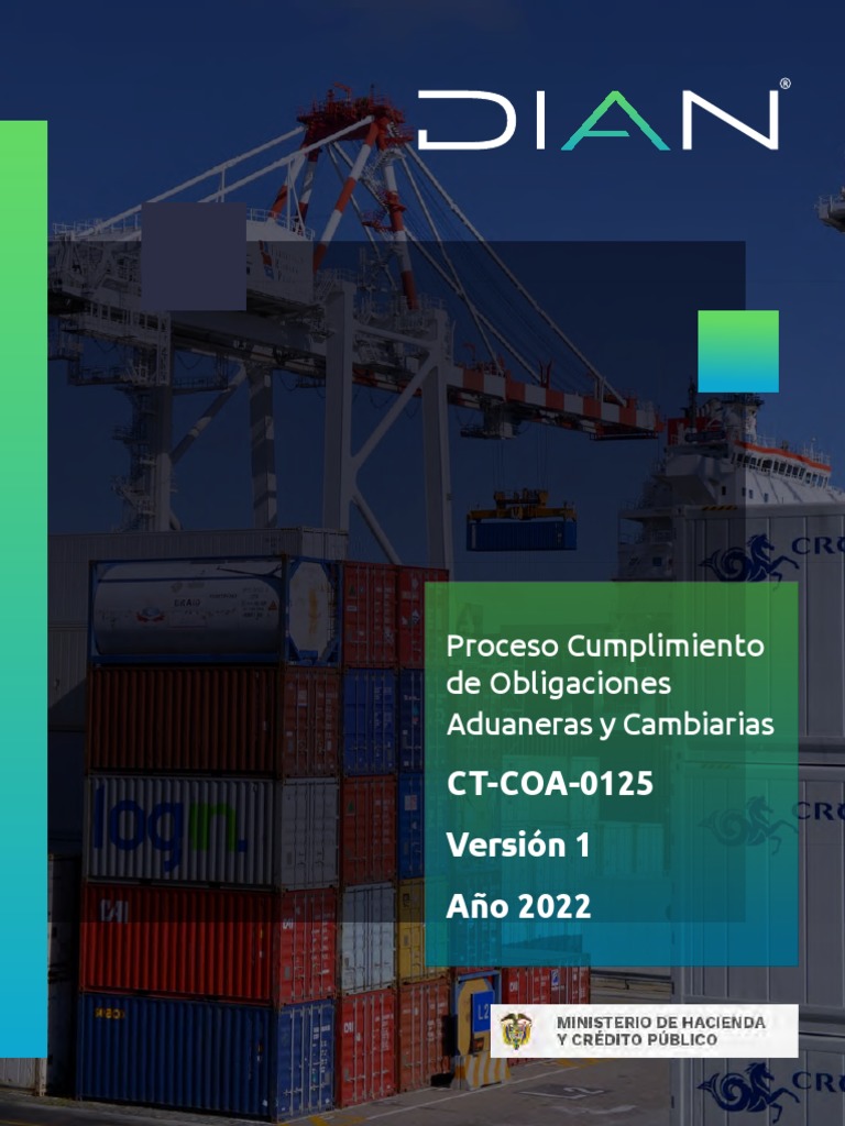 Cartilla Declaracion Importacion Pdf Pdf Aduana Bancos