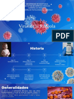 Virus de La Rubeola