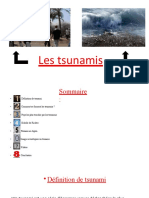 Les-tsunamis1