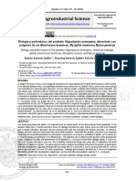 4944-Texto Del Artículo-18618-1-10-20221219 PDF