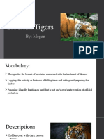 Common Read Presentation Tiger