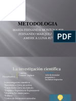 Metodologia 01