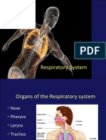 Respiratory System 