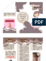 Triptico PDF