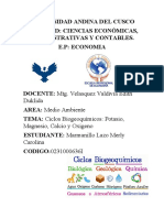 Ciclos Biogeoquimicos