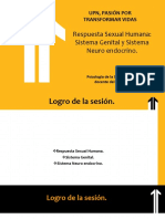03A SeSiOn PsiSex PDF