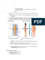 Introdução A Anatomia