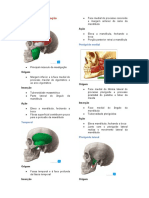 13, Músculos Da Mastigação e Das Expressões Faciais