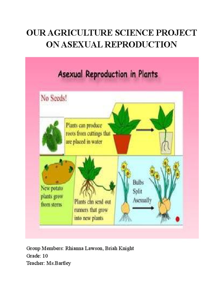 Our Agriculture Science Project On Asexual Reproduction PDF