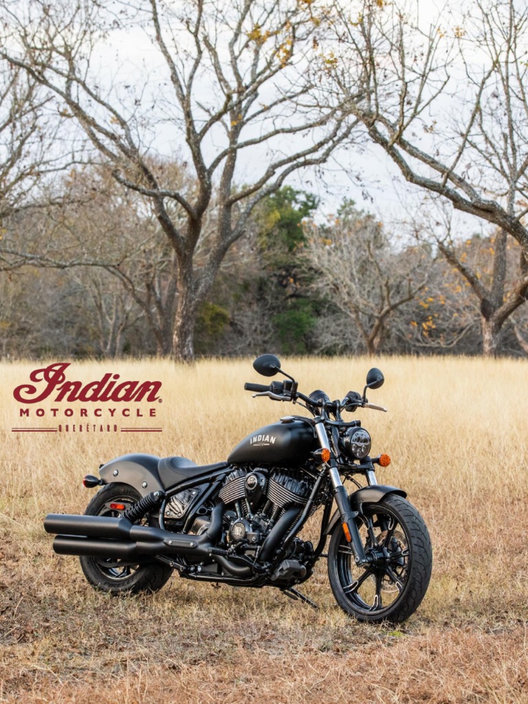 2022 Chief Dark Horse PDF PDF