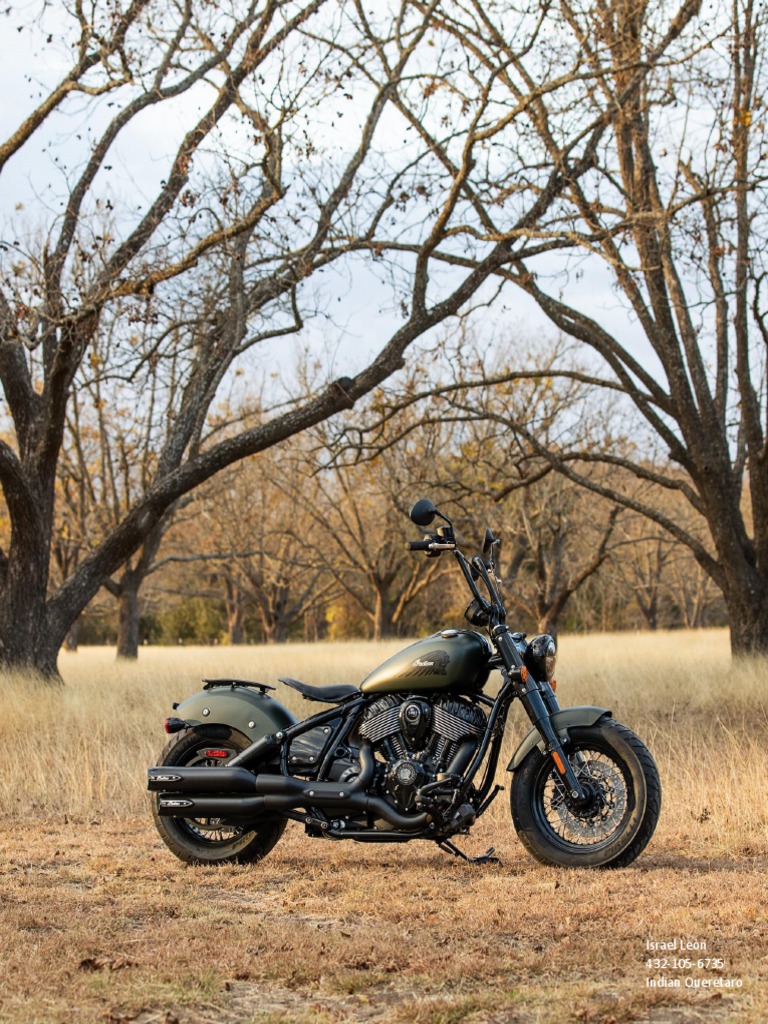 2022 Chief Bobber Dark Horse PDF PDF