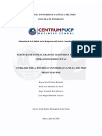 Situación de La Calidad en Las Empresas Del Sector Consultoría en El Perú-CANCAN PDF