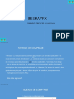 BeeKay FX (Counting Levels) PDF