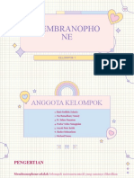 Membranophone-Kel 1