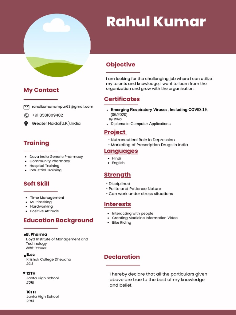 Rahul Kumar PDF | PDF