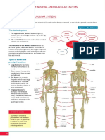 Muscle and Skeletal Function
