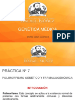 Práctica 7 PDF