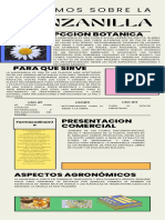 Infografía de Procesos o Pasos A Seguir Trabajo Proyecto A Mano Doodle Multicolor PDF