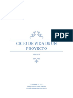 Ciclo vida proyecto