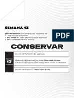Temas Sem 13 - CONSERVAR PDF
